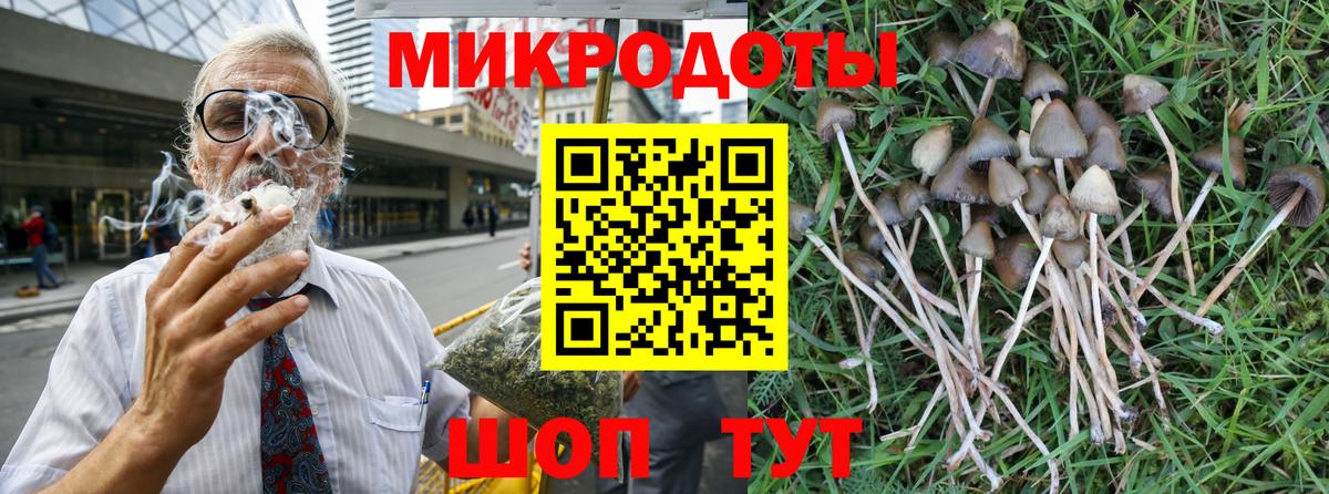 Галлюциногенные грибы MAGIC MUSHROOMS  как найти   Мыски  Вход с VPN 